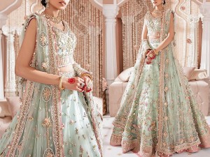 Luxury Mirror & Handwork Heavy Embroidered Net Bridal Lehenga Dress