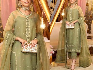Handwork Embroidered Organza Party Wear Dress 2023 with Inner Price in Pakistan