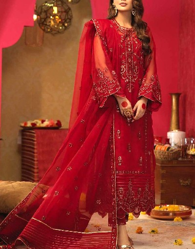 Handwork Heavy Embroidered Organza Wedding Dress with Inner Price in Pakistan