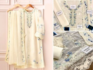 Elegant Handwork & Embroidered Chiffon Party Wear Dress 2023 Price in Pakistan