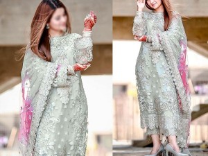 Heavy Embroidered with Handwork Organza Wedding Dress Price in Pakistan