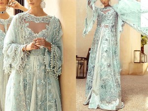 3D & Handwork Heavy Embroidered Organza Wedding Dress 2024 Price in Pakistan