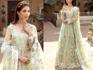 Luxurious Mirror & Heavy Handwork Embroidered Net Bridal Maxi Dress 2022 Price in Pakistan