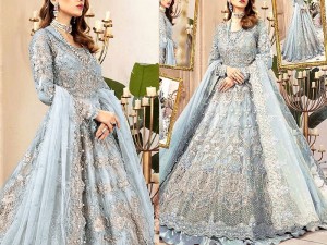 Luxurious 3D Handwork & Embroidered Net Bridal Maxi Dress