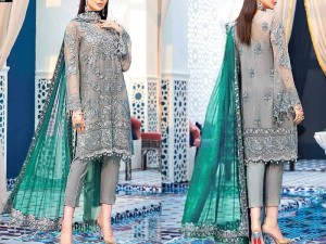 Handwork Embroidered Grey Net Wedding Dress 2022 Price in Pakistan