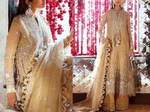 Heavy Embroidered with Handwork Organza Wedding Dress 2024 Price in Pakistan