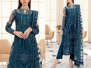 Heavy Embroidered Formal Net Wedding Dress 2024 Price in Pakistan