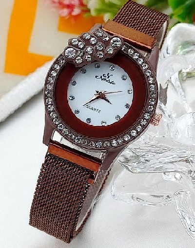 Noble Leaf Magnet Chain Fashion Watch for Ladies - Brown Price in Pakistan