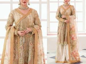 Handwork Heavy Embroidered Organza Bridal Dress 2023 Price in Pakistan