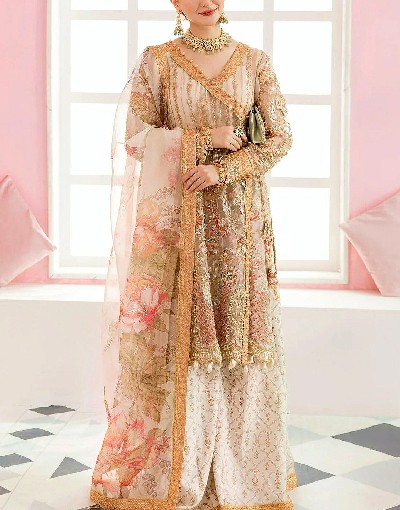 Handwork Heavy Embroidered Organza Bridal Dress 2023 Price in Pakistan