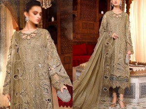 3D Handwork Embroidered Organza Party Wear Dress 2023 Price in Pakistan