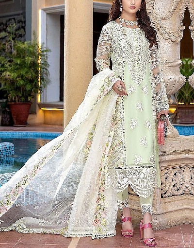 Heavy Embroidered Organza Party Wear Dress 2024