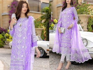 Heavy Embroidered Organza Wedding Dress 2023 Price in Pakistan