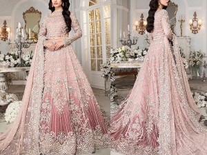 Luxurios 3D Handwork Heavy Embroidered Net Bridal Maxi Dress 2023 Price in Pakistan