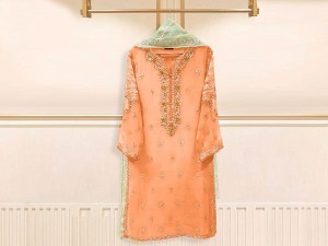Handwork Embroidered Organza Party Wear Dress 2023 Price in Pakistan