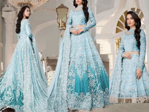 Luxury Handwork & Heavy Embroidered Net Bridal Maxi Dress 2024