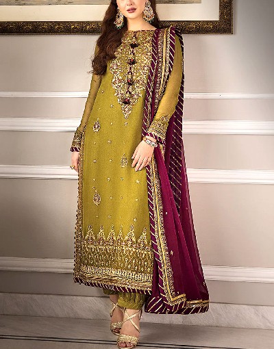 Heavy Embroidered Chiffon Mehndi Dress 2024