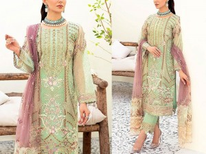 Luxury Handwork Heavy Embroidered Organza Wedding Dress 2024 Price in Pakistan