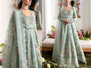 Luxurios Heavy Handwork Embroidered Organza Bridal Maxi Dress Price in Pakistan