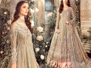 Luxurios 3D Handwork Heavy Embroidered Organza Bridal Maxi Dress 2024 Price in Pakistan