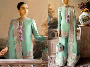 Handwork Heavy Embroidered Organza Wedding Dress 2024 Price in Pakistan